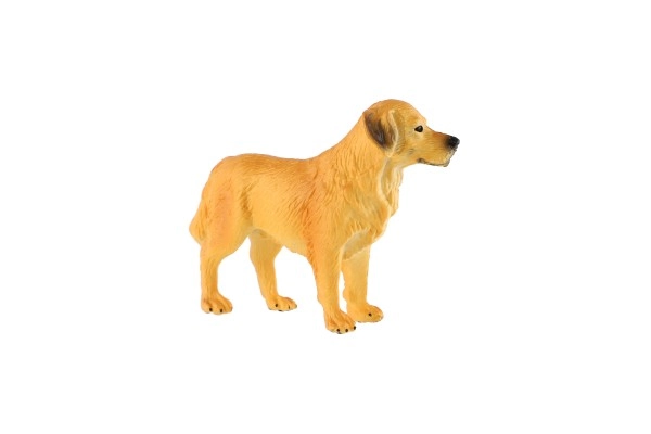 Kompakte Größe 10 cm