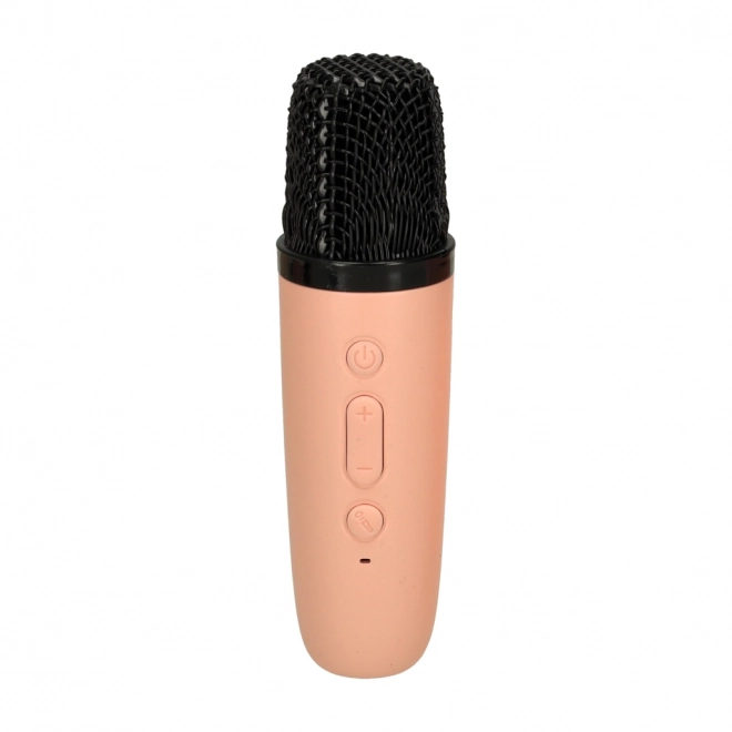 Karaoke-Set mit Mikrofon und tragbarem Bluetooth-Lautsprecher USB Led Rosa