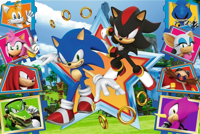 Puzzle 100 Teile Sonic kennenlernen