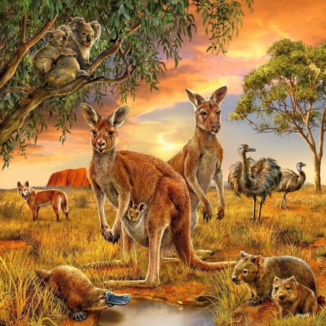 Ravensburger Tiere Puzzle 3x49 Teile