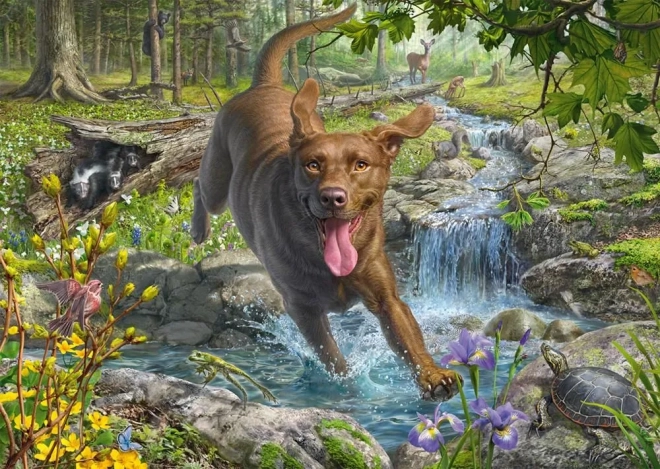 Puzzle Retriever im Frühling 1000 Teile