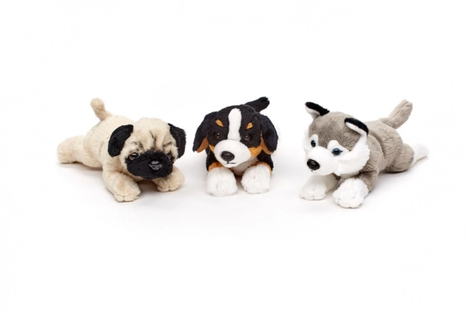 Plüschhund liegend 19 cm