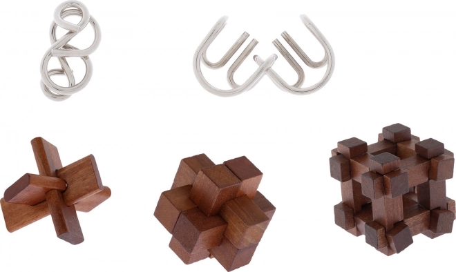 Professor Puzzle Set von 5 Rätseln Great Minds