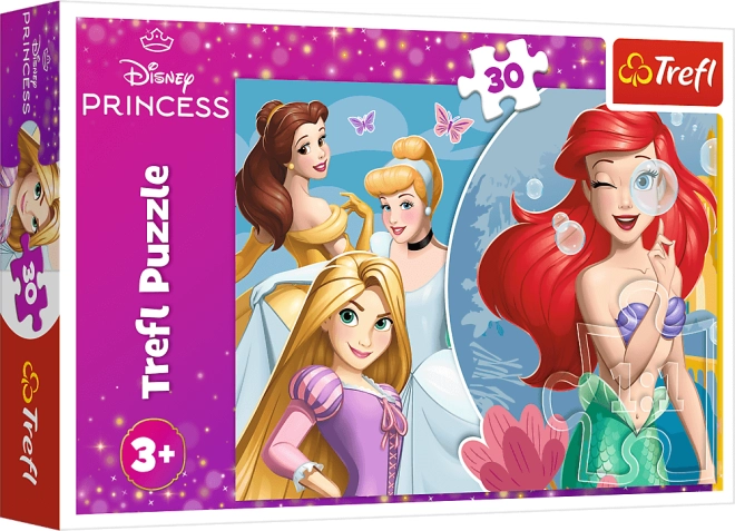 Motiv der DISNEY PRINCESS Prinzessinnen