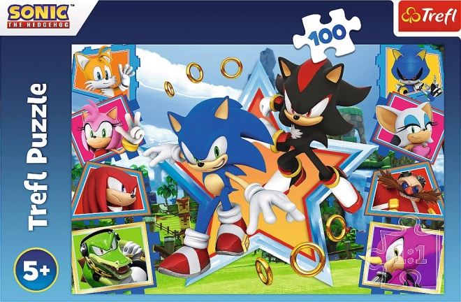 Puzzle 100 Teile Sonic kennenlernen