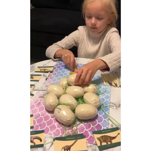 Dinosaurier-Ausgrabungsset - Kruzzel-Grabung