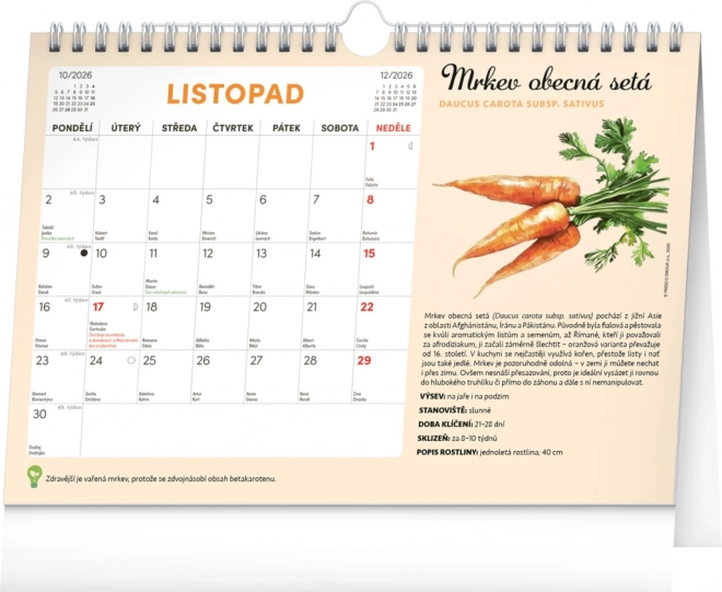 Notique Monatsplaner Kalender mit Samen 2026