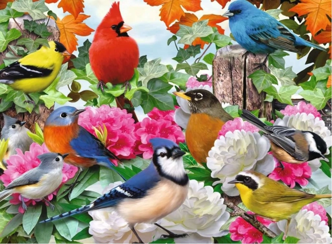 Ravensburger Puzzle Gartenvögel 500 Stück