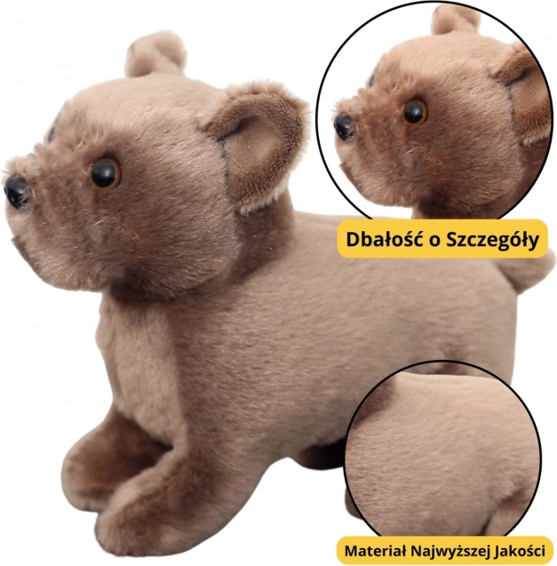Brauner Plüschhund 19cm