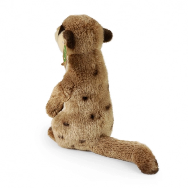 Plüsch Erdmännchen Rappa 24 cm