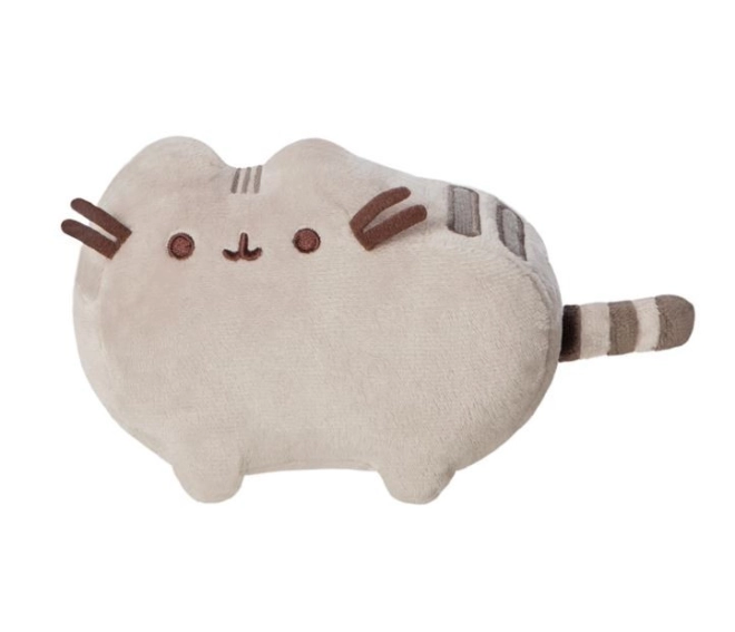 Niedliches Pusheen-Design
