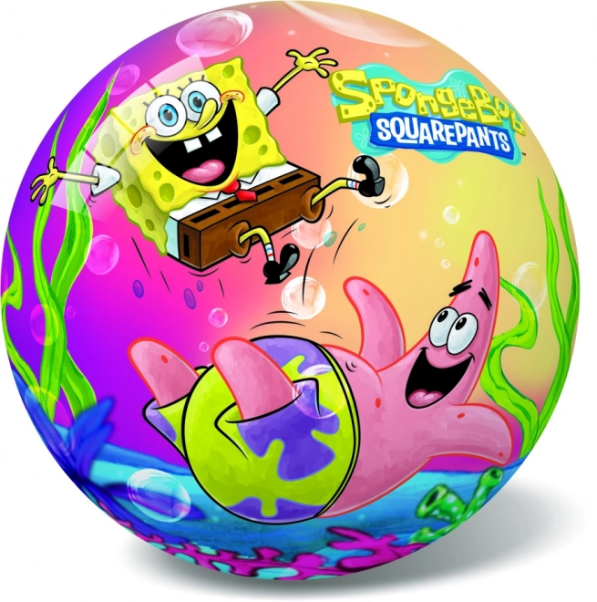 Spongebob Ball 20 cm in Netz