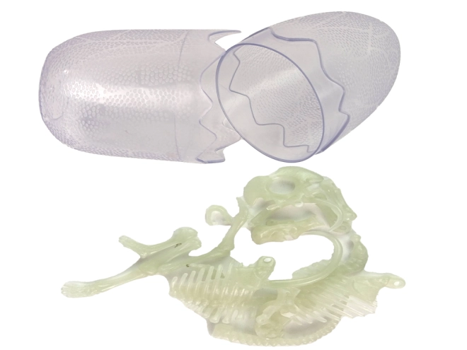 Detaillierte Anatomie