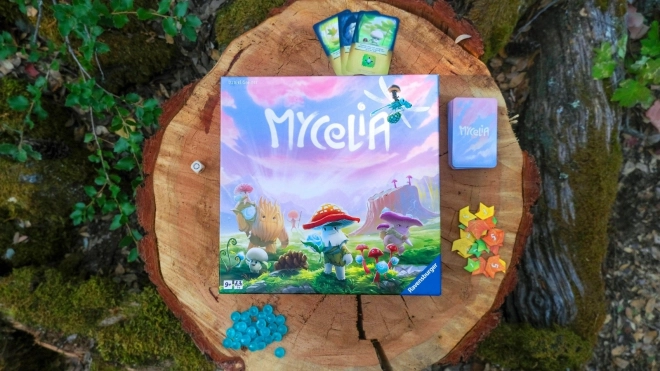 Strategie-Brettspiel Mycelium: Tal der Tausend Tautropfen