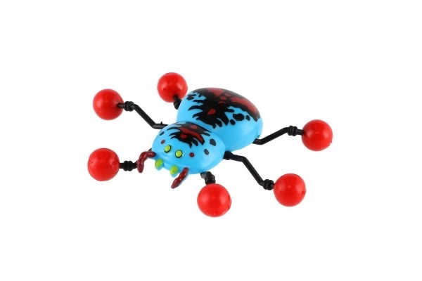 Spinne kriecht an Glas