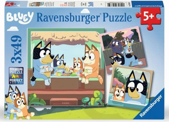 Puzzle Bluey 3x49 Teile