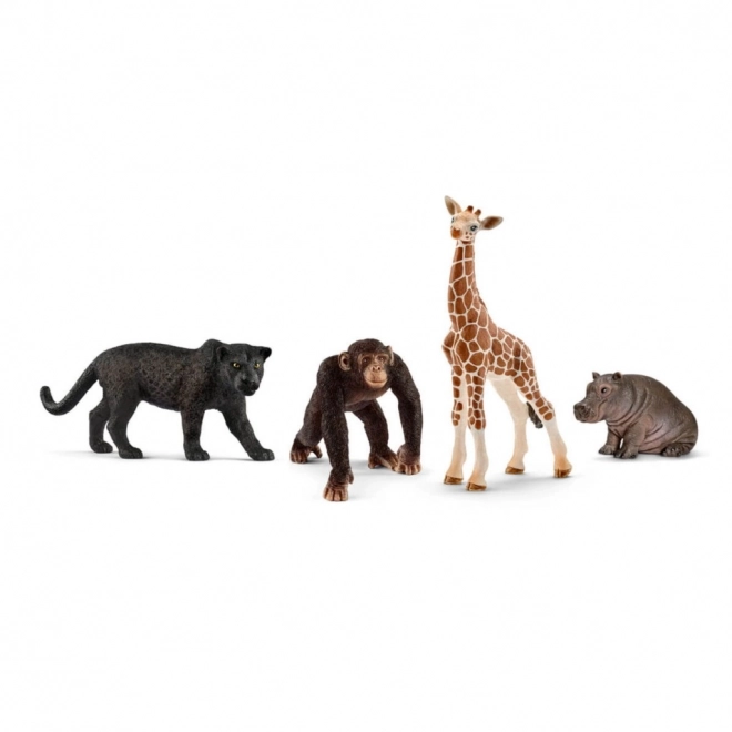 Startset Wildtiere von Schleich