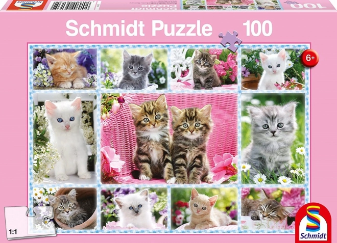 Schmidt Puzzle Kätzchen 100 Teile