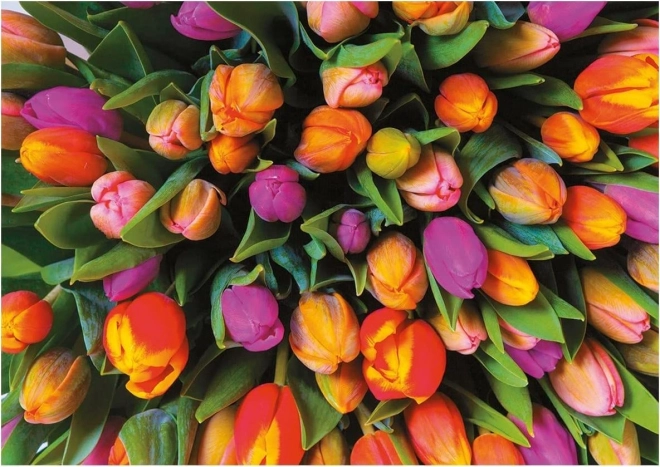 Puzzle Tulpen 1000 Teile