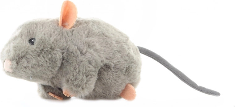 Sichere Details für Alter 0+