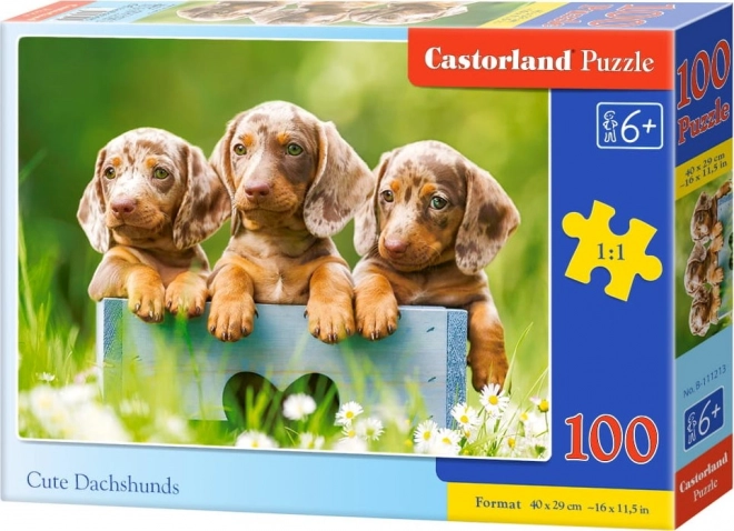 Puzzle 100 Teile Niedliche Dackel