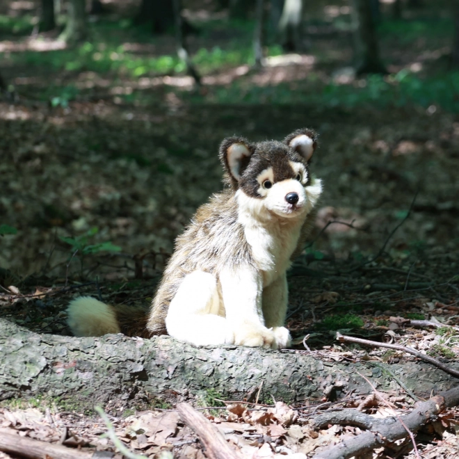 Eco-Freundlicher Sitzender Plüschwolf 28 cm