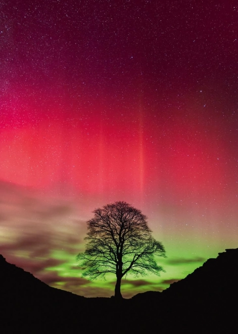 Puzzle Heye Kraft der Natur: Sycamore Gap, 1000 Teile