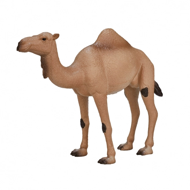 Realistische Plastikfigur Kamel