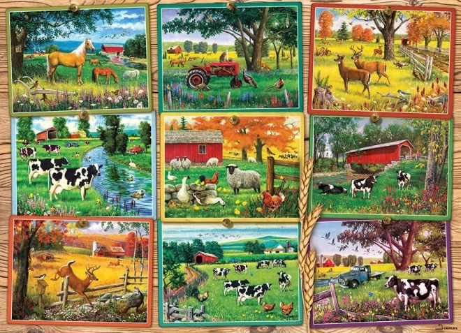 Cobble Hill Puzzle Bauernhofansichten 1000 Teile