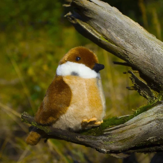 Realistisches Aussehen