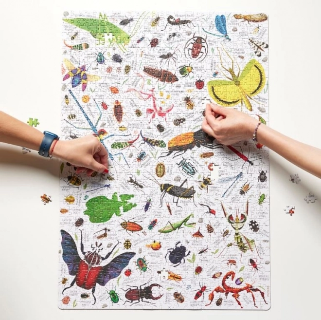 Puzzlove Puzzle Insekten 1000 Teile