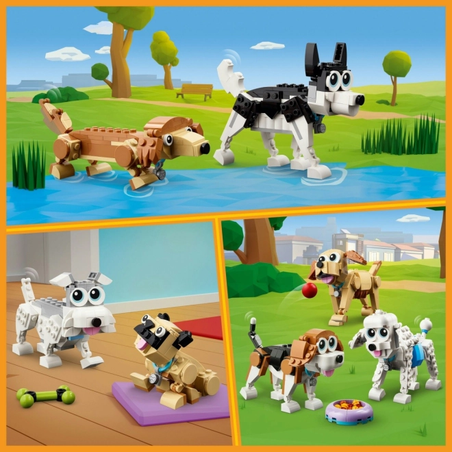 Drei Hundeteams in einer Box