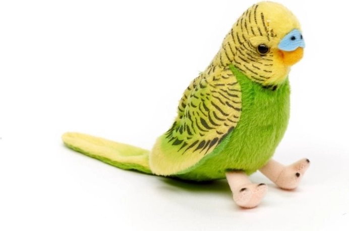 Niedliches Zwitschern beim Flügeldruck