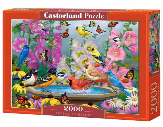 Puzzle Rhythm of Nature mit 2000 Teilen