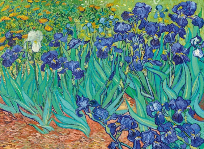 Puzzle Blaue Iris 3000 Teile