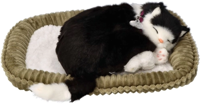 Interaktives Spielzeug Perfect Petzzz schwarz-weiß Katze
