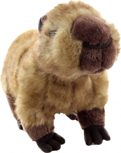 Realistische Details