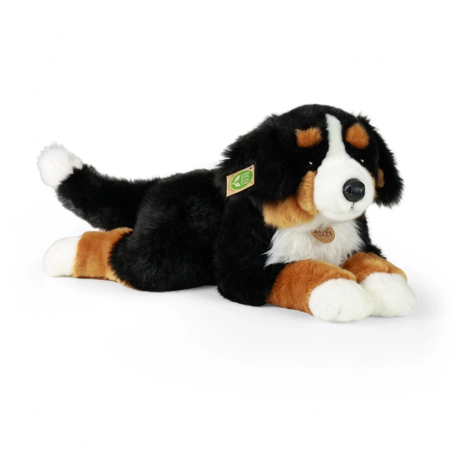 Großer Plüsch Berner Sennenhund liegend 61 cm