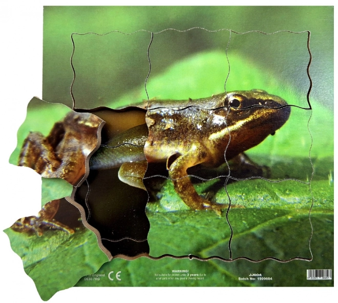 Holzpuzzle Just Jigsaws Frosch Lebenszyklus