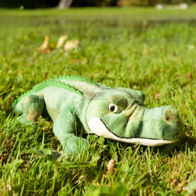 Plysch Krokodil umweltfreundlich