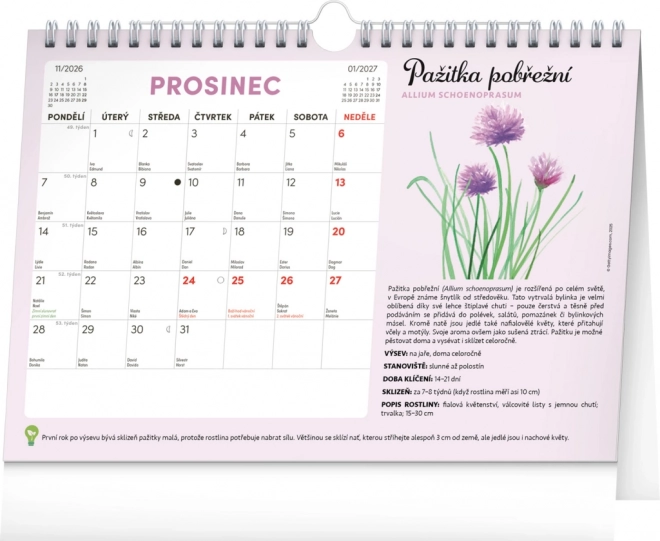Notique Monatsplaner Kalender mit Samen 2026