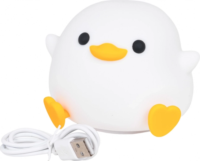 Wiederaufladbarer Akku und USB‑C