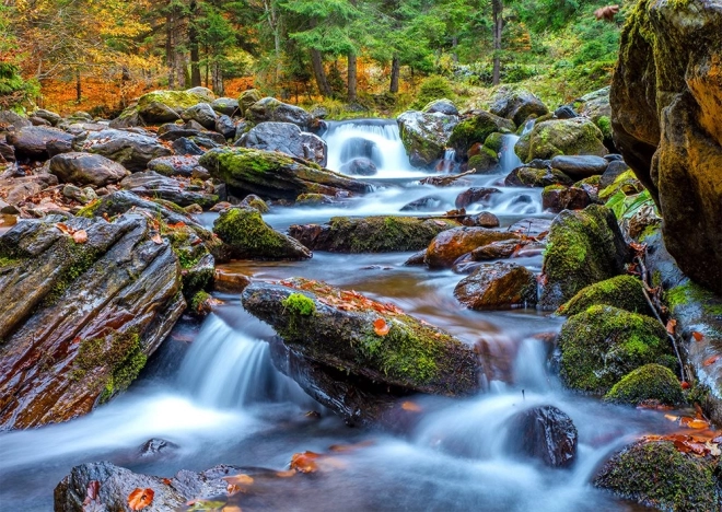 Puzzle Wald-Bächlein im Herbst 1000 Teile