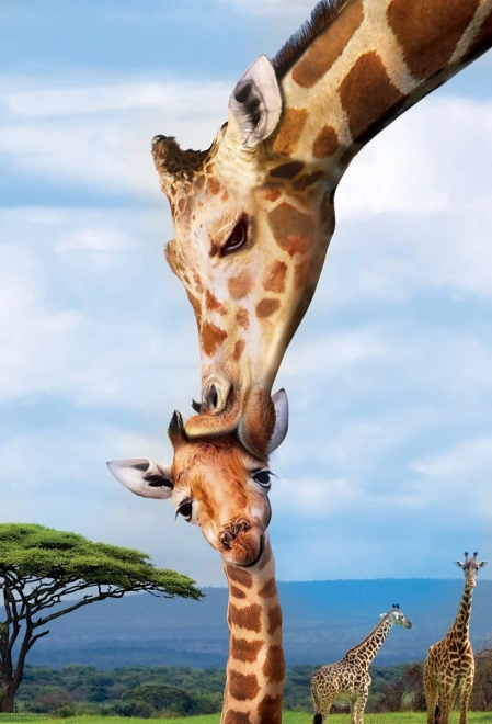 Eurographics Puzzle Rettet unseren Planeten: Giraffen XL 250 Teile