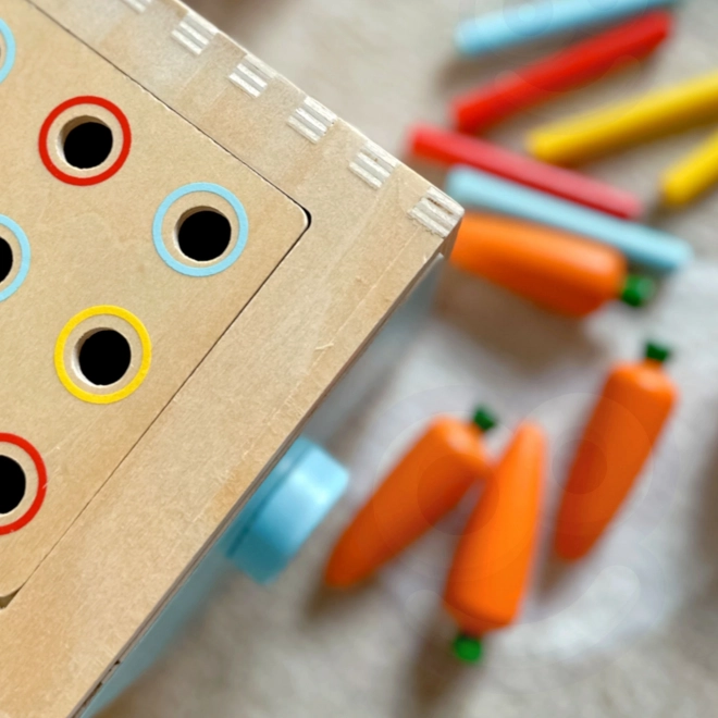Woopie Green Holzpädagogisches Sortierspielzeug Montessori mit Schublade