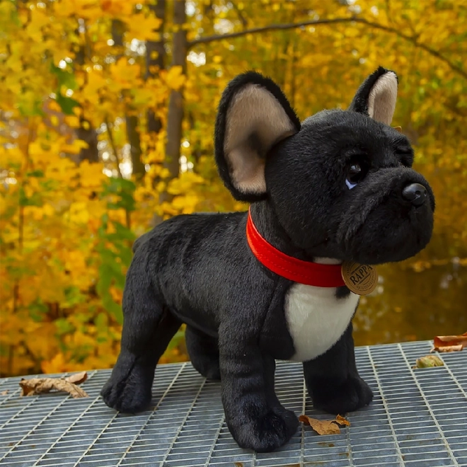 Plüsch-Französische Bulldogge Schwarz mit Halsband Stehend 30 cm Umweltfreundlich