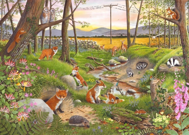 Puzzle Sommerdämmerung 250 Teile