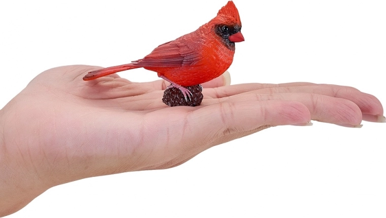 Kompakte Größe für Spiel und Sammlung