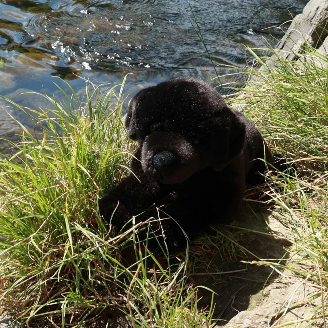 Schwarzer Labrador Plüschtier 40 cm - umweltfreundlich