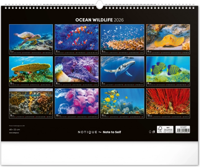 Wandkalender Unterwasserwelt 2026
